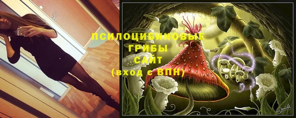 прущая мука Алзамай