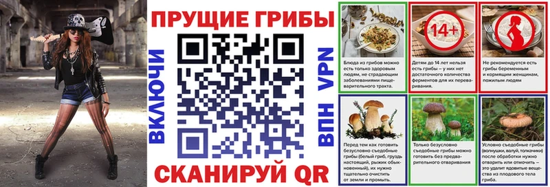 hydra вход  Сасово  Псилоцибиновые грибы Psilocybine cubensis 